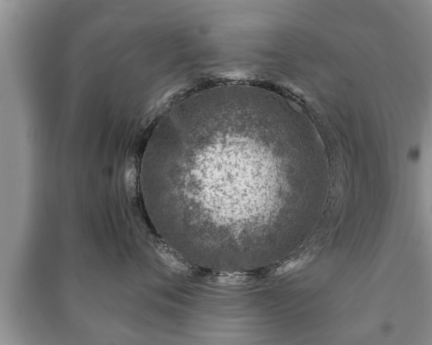 X0000091060720200708131130