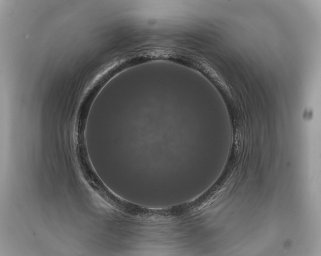 X0000091060722200708131129