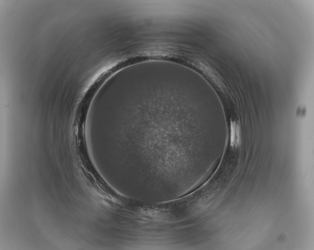 X0000091060723200708131129