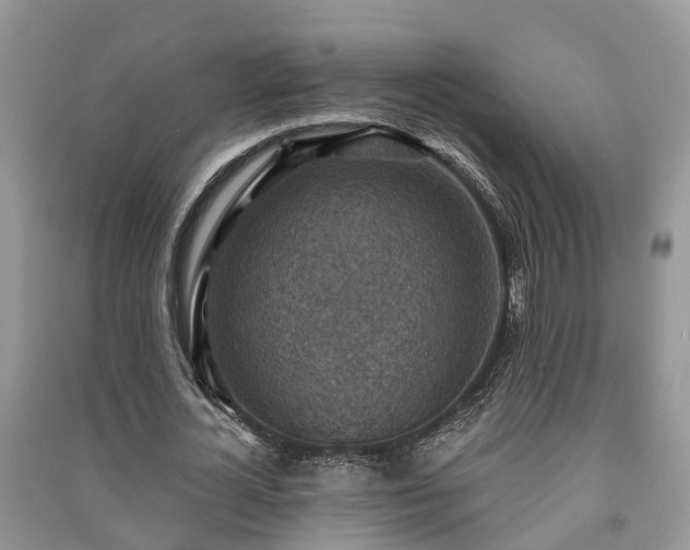X0000091060724200708131129
