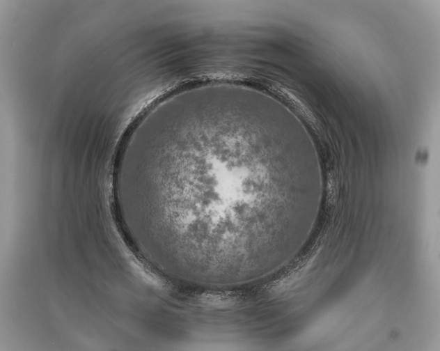 X0000091060725200708131129