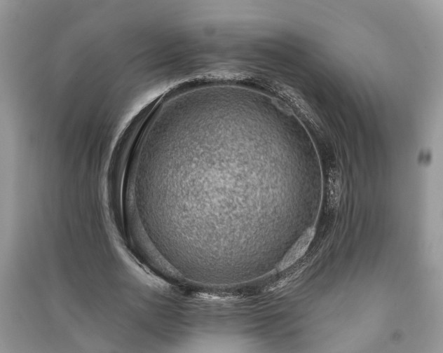 X0000091060726200708131129