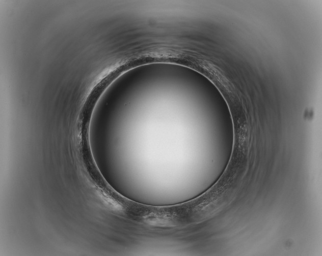 X0000091060727200708131129