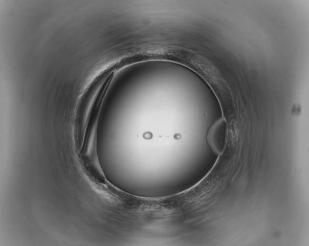 X0000091060728200708131129