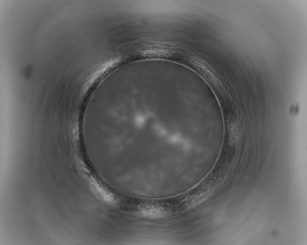X0000091060729200708131129