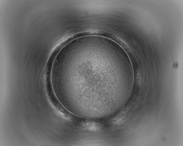 X0000091060730200708131129