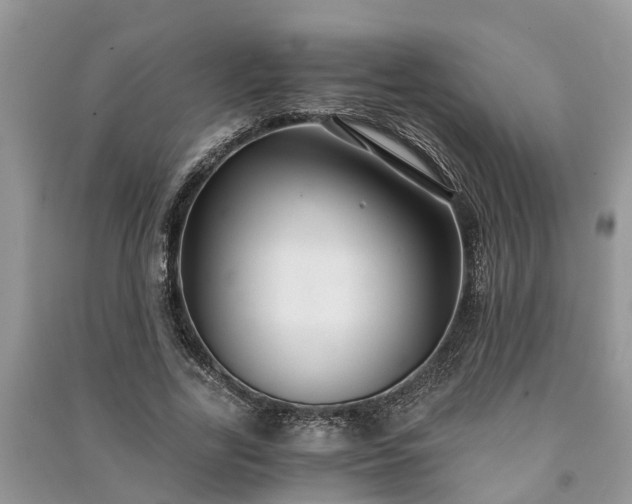 X0000091060731200708131129