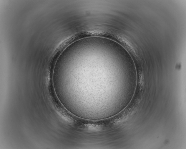 X0000091060733200708131129