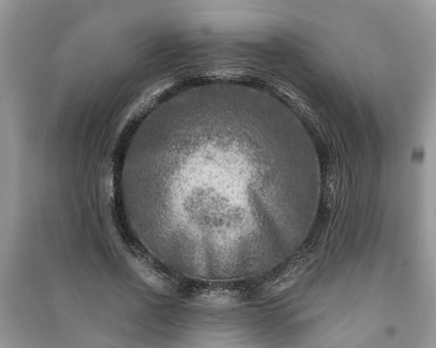 X0000091060734200708131129
