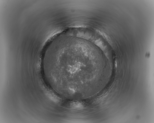 X0000091060735200708131129