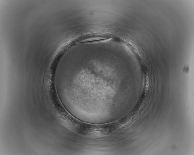 X0000091060736200708131129