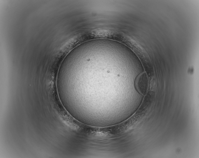 X0000091060737200708131129