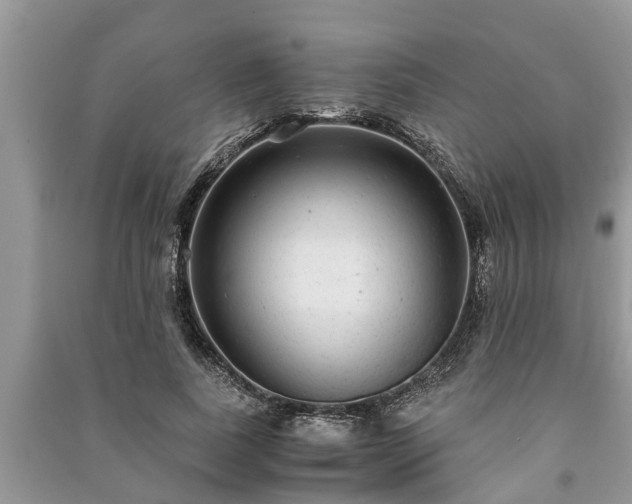 X0000091060739200708131129
