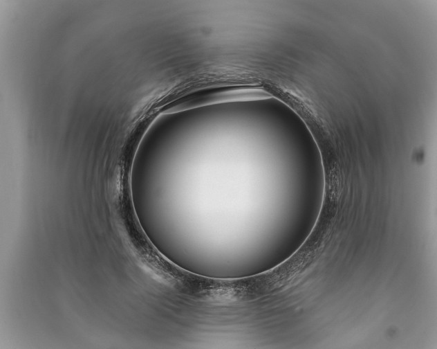 X0000091060740200708131129