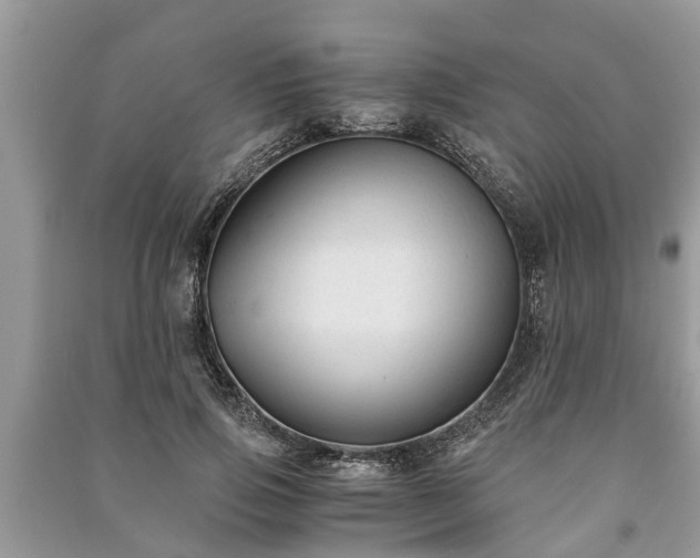 X0000091060741200708131130