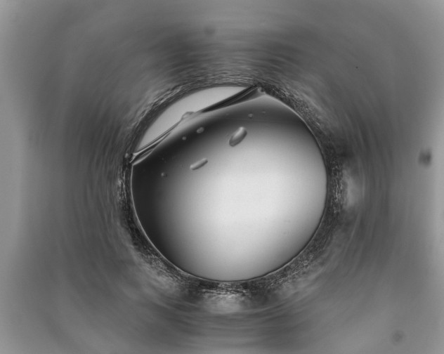 X0000091060743200708131130