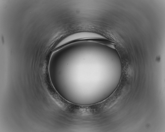 X0000091060744200708131130