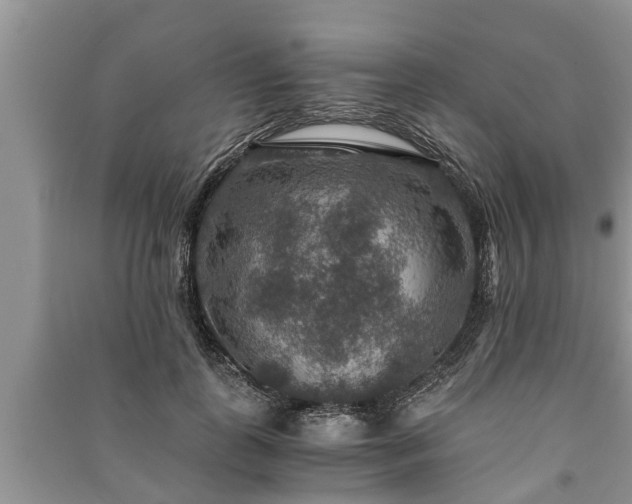 X0000091060747200708131130