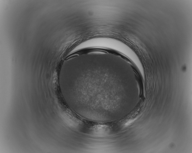 X0000091060748200708131130