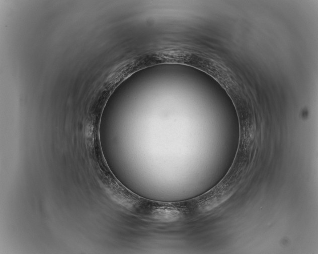 X0000091060749200708131130