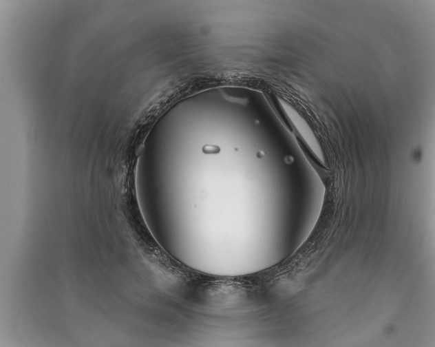 X0000091060750200708131130