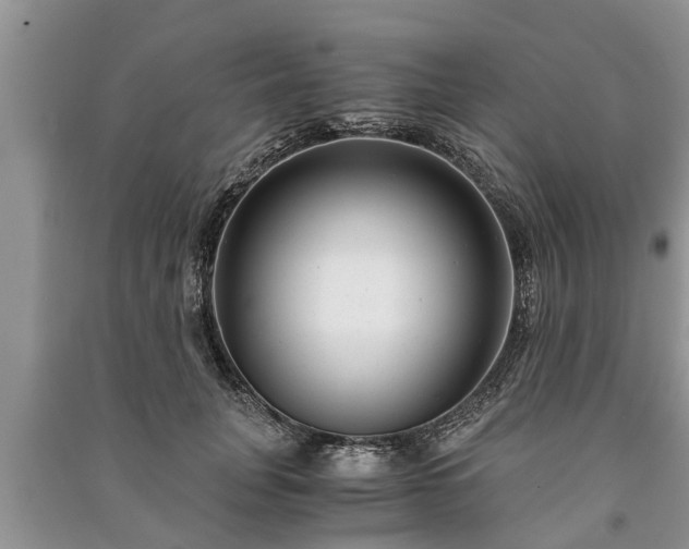 X0000091060751200708131130