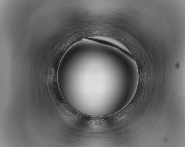 X0000091060752200708131130