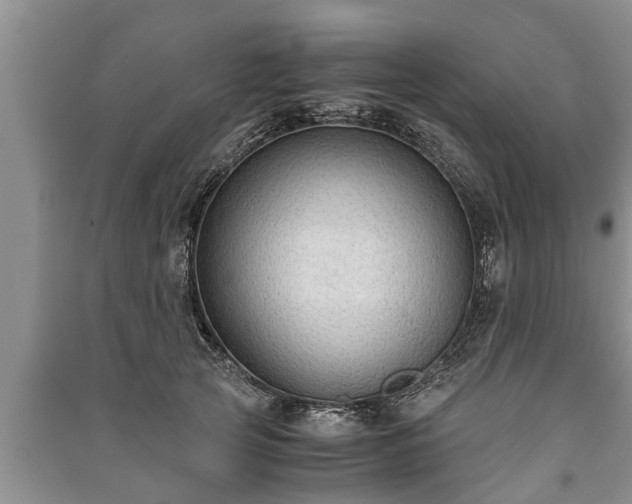 X0000091060753200708131130