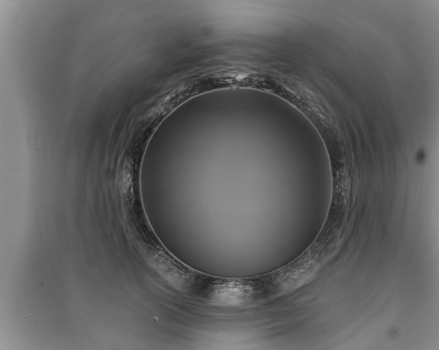 X0000091060754200708131130