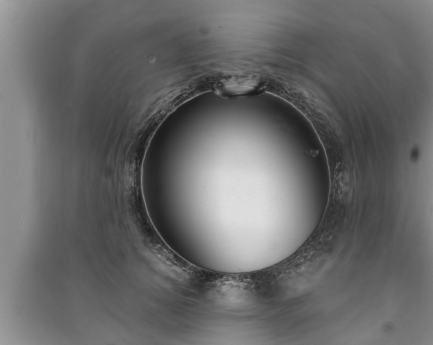 X0000091060756200708131130