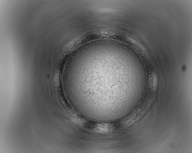 X0000091060757200708131130