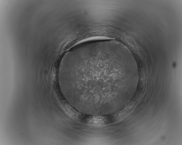 X0000091060758200708131130