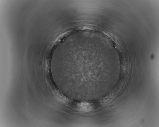 X0000091060759200708131130
