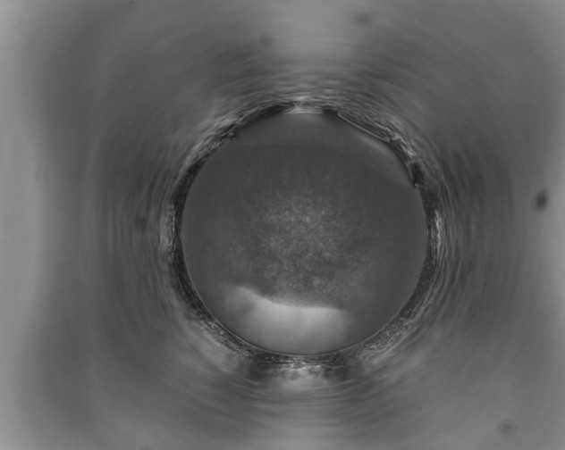 X0000091060760200708131130