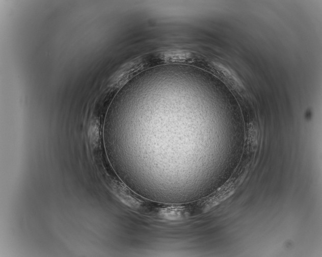 X0000091060761200708131130