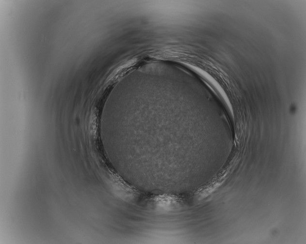 X0000091060762200708131130