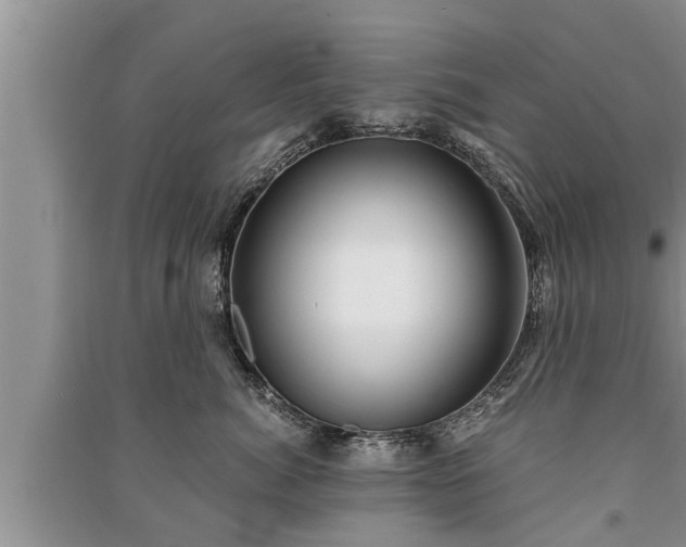 X0000091060764200708131130