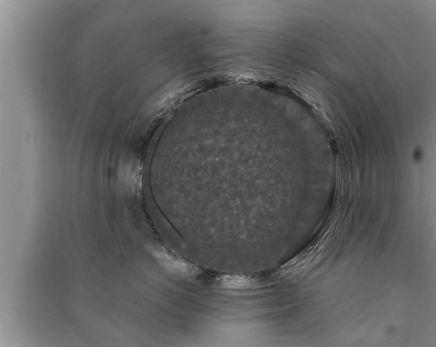 X0000091060766200708131130