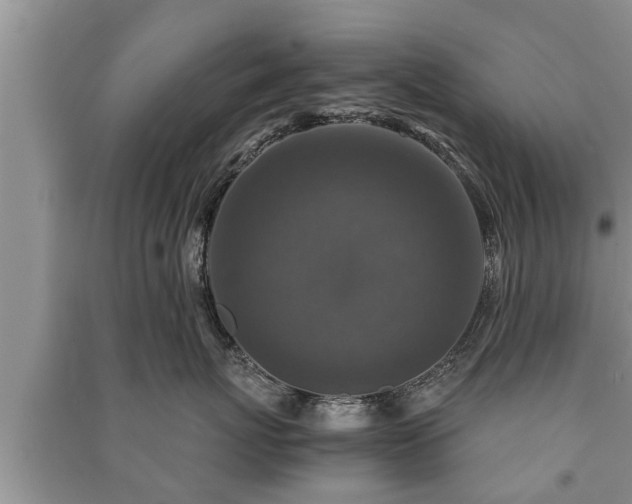 X0000091060767200708131130