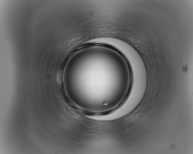 X0000091060768200708131130