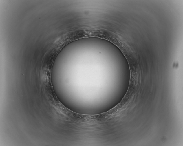 X0000091060770200708131129