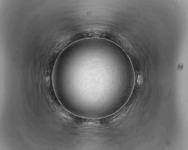 X0000091060771200708131129