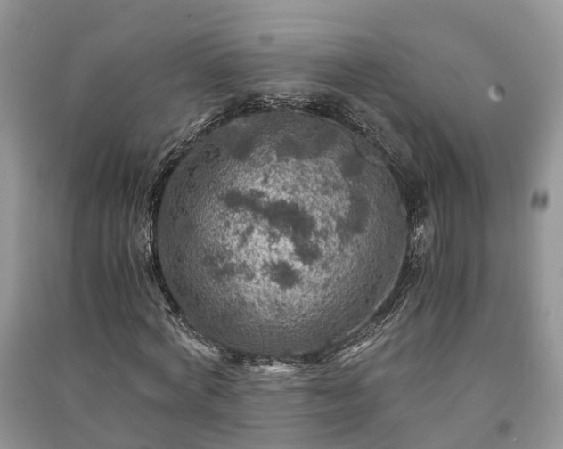 X0000091060772200708131129