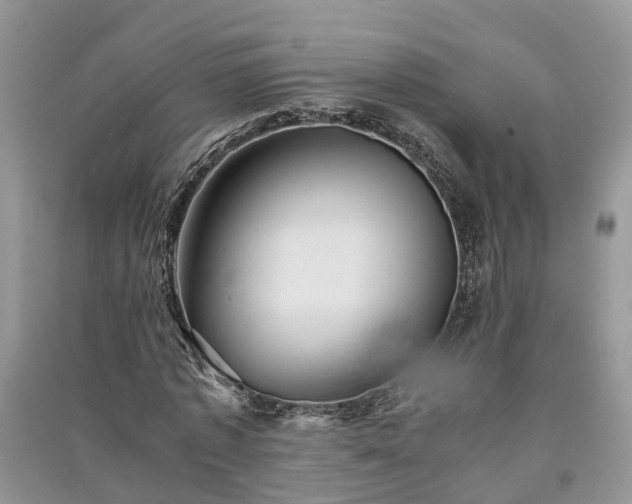 X0000091060773200708131129