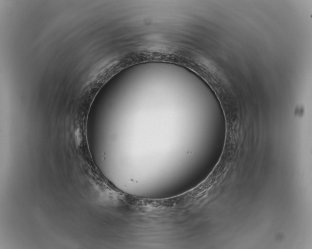 X0000091060774200708131129