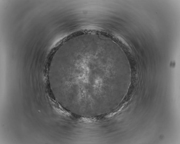 X0000091060775200708131129