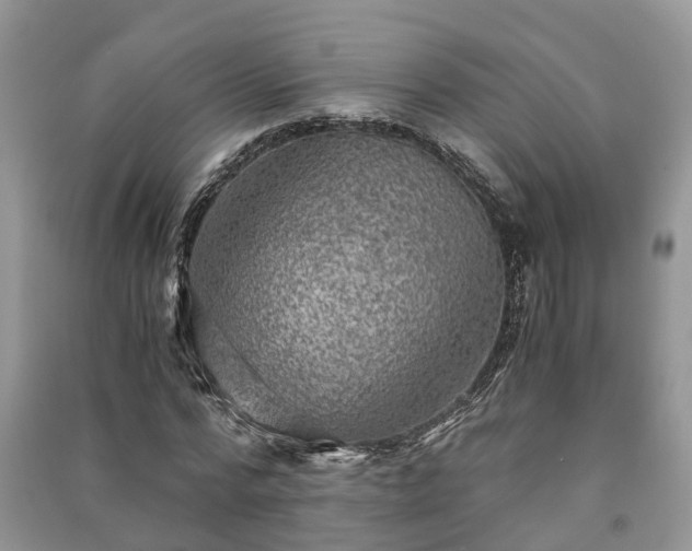 X0000091060776200708131129