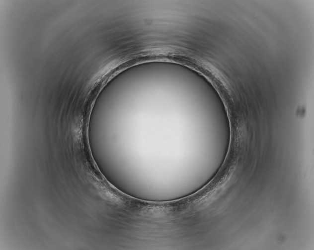 X0000091060778200708131129