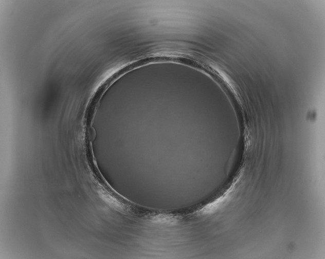X0000091060779200708131129