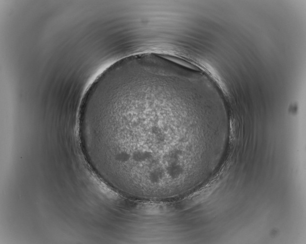 X0000091060780200708131129